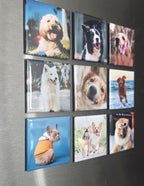 Set of 9 Square Photo Magnets